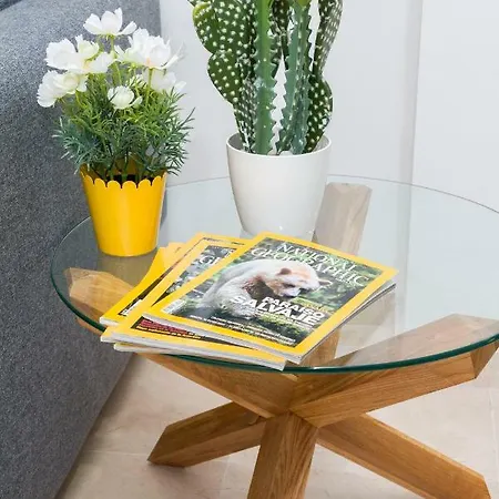 New Turquesa Centro Sta Cruz, Wifi&gym Lägenhet