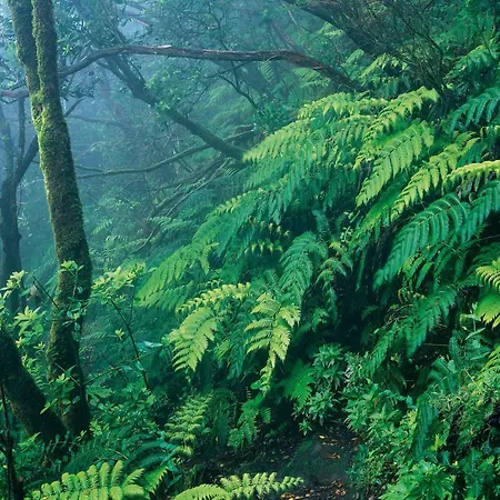 New Turquesa Centro Sta Cruz, Wifi&gym