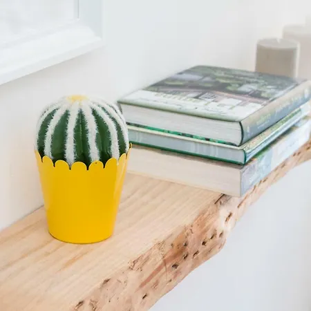 New Turquesa Centro Sta Cruz, Wifi&gym